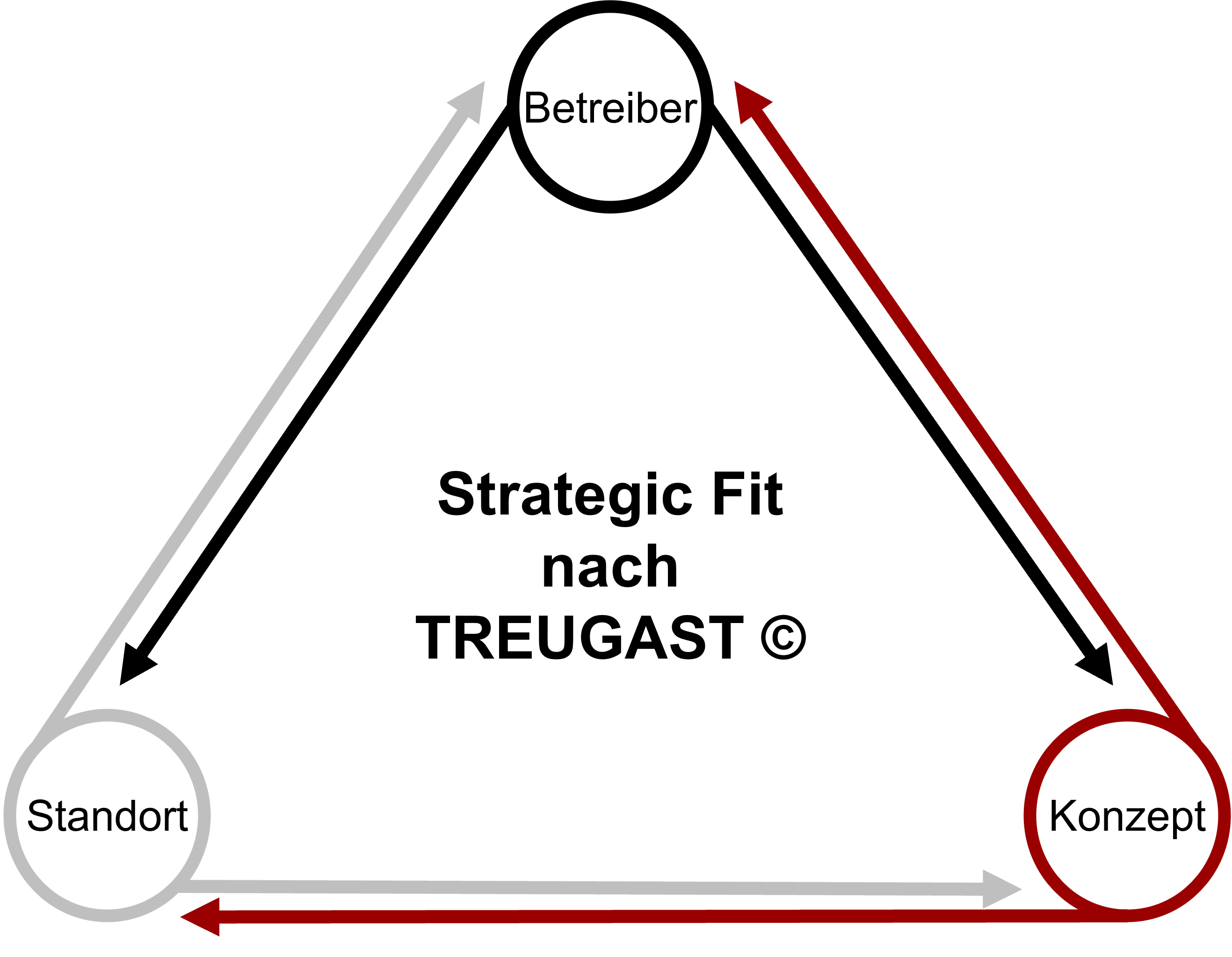 Strategic Fit nach TREUGAST